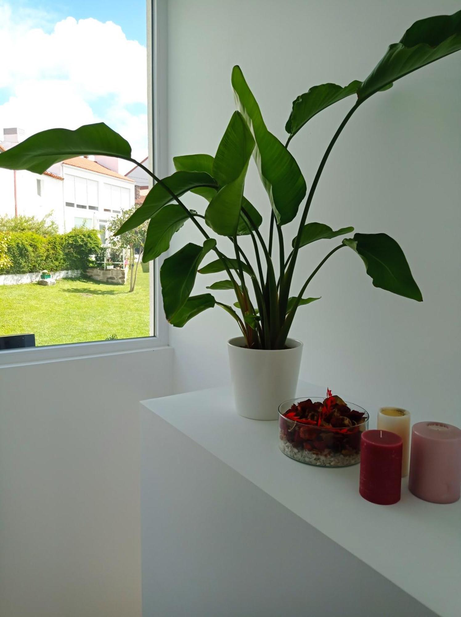 Casas Turisticas Lar Jardin - Parking Privado Сантьяго-де-Компостела Экстерьер фото
