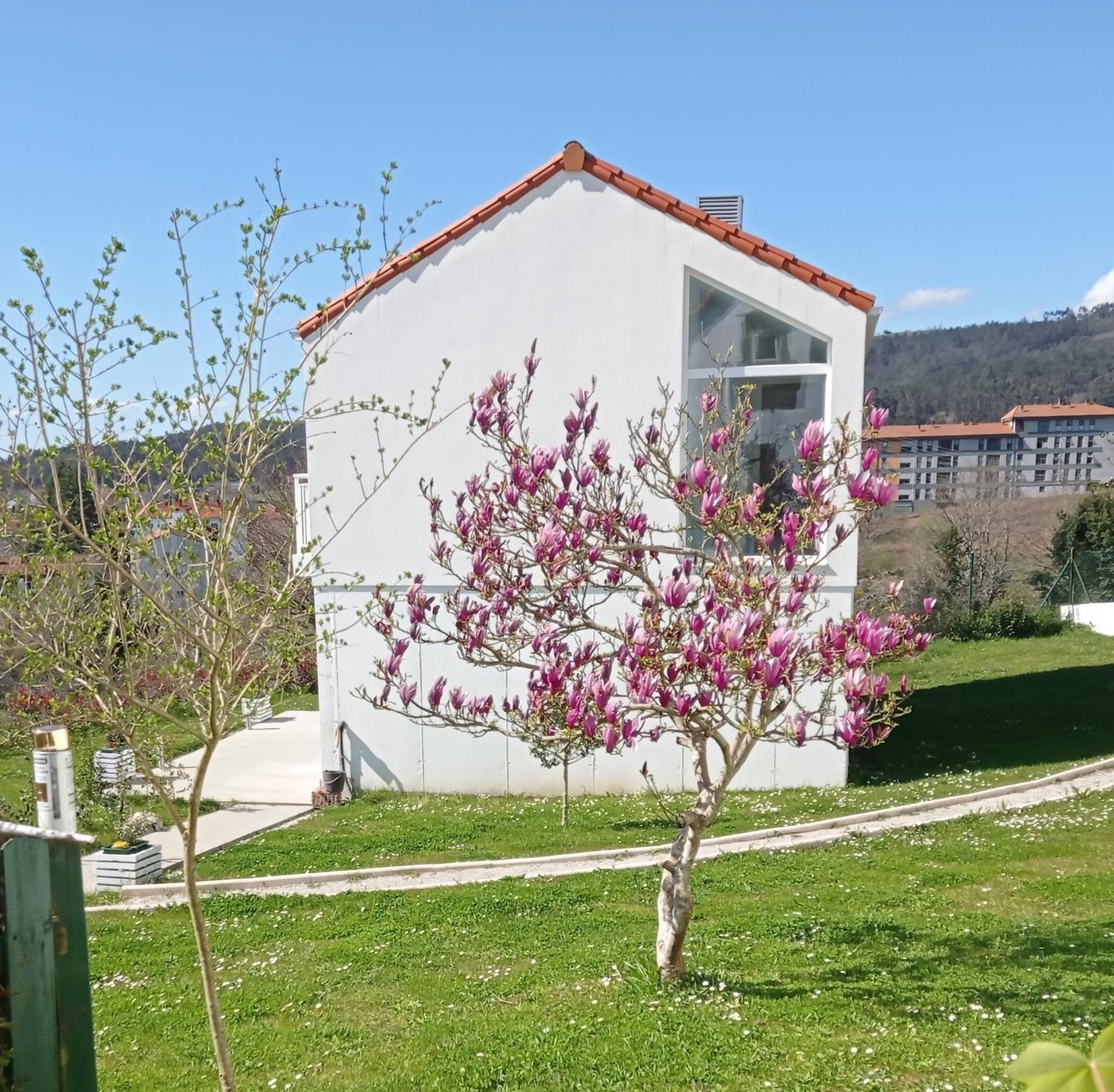 Casas Turisticas Lar Jardin - Parking Privado Сантьяго-де-Компостела Экстерьер фото
