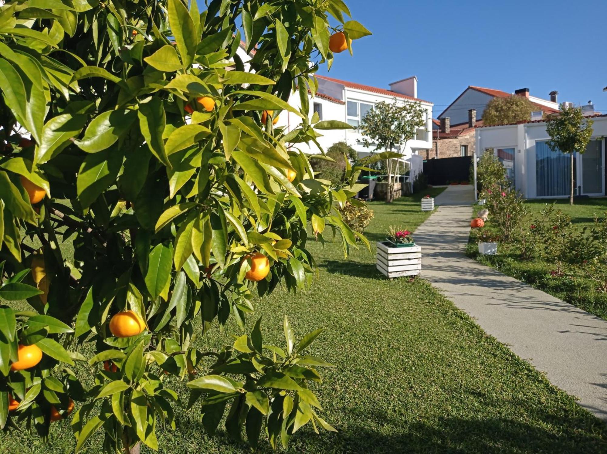 Casas Turisticas Lar Jardin - Parking Privado Сантьяго-де-Компостела Экстерьер фото